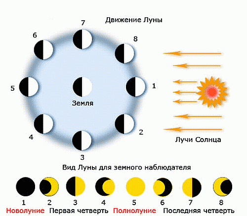 luna - Легкие правила трактовки лунного цикла для начинающих астрологов